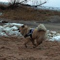 IMG_5175