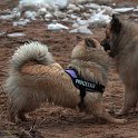 IMG_5201