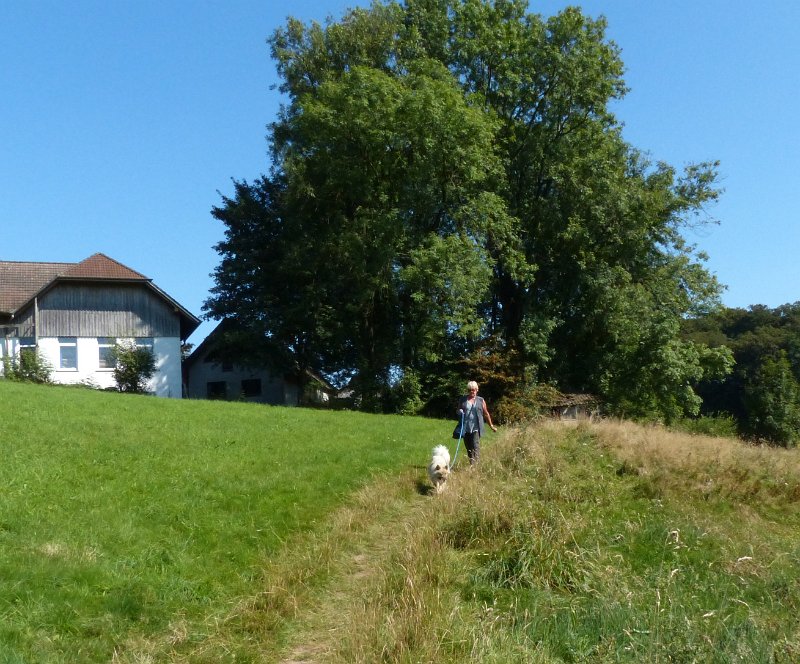 P1080574