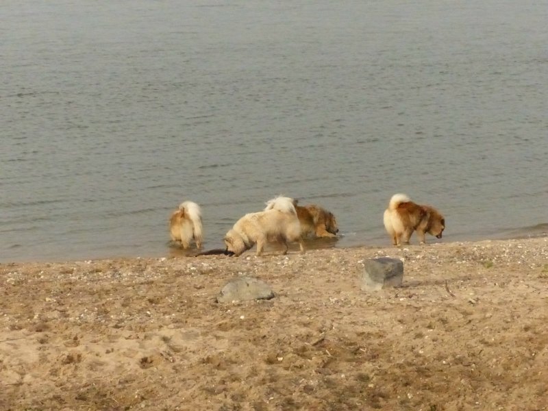 P1070032