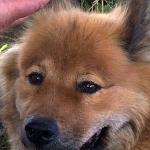 IMG-20180722-WA0010