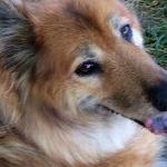 IMG-20180722-WA0012