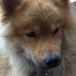 IMG-20180722-WA0015