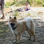 IMG-20180722-WA0020