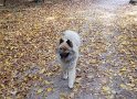 20181018_130513