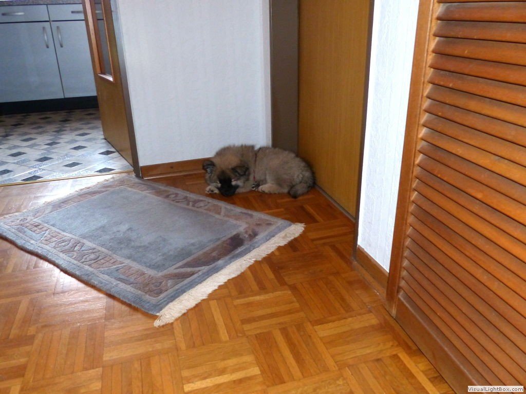 p1040360