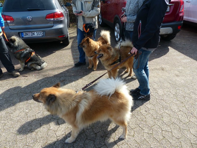P1040753
