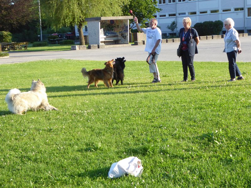 P1000665